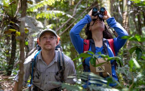 Two biologists in a dense forest looking up; one of them is using binoculars