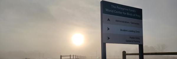 Road sign for the World Center for Birds of Prey, with a fog shrouded sunrise in the backgorund