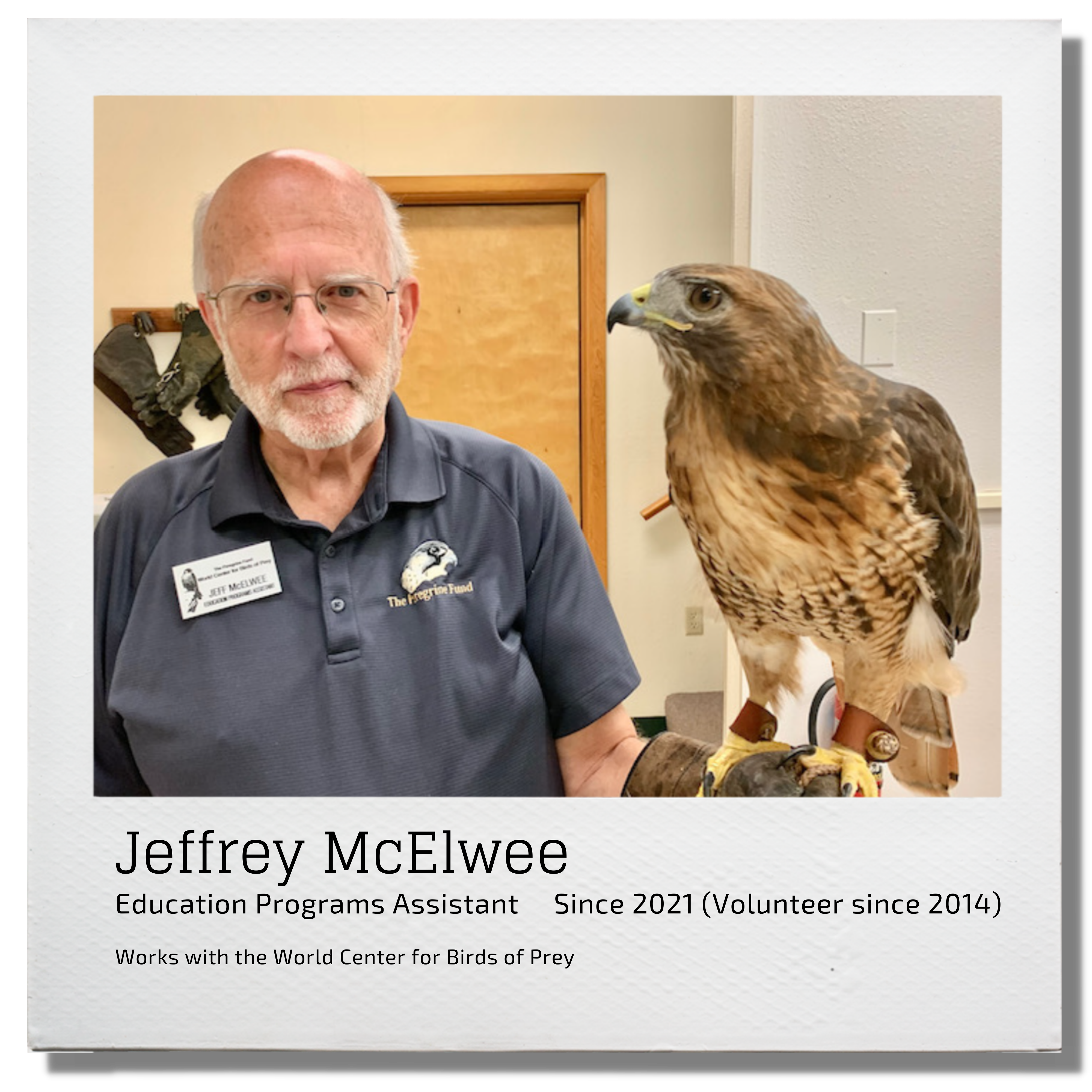 Jeffrey McElwee Education Programs Assistant since 2021 (volunteer since 2014) Works with the World Center for Birds of Prey