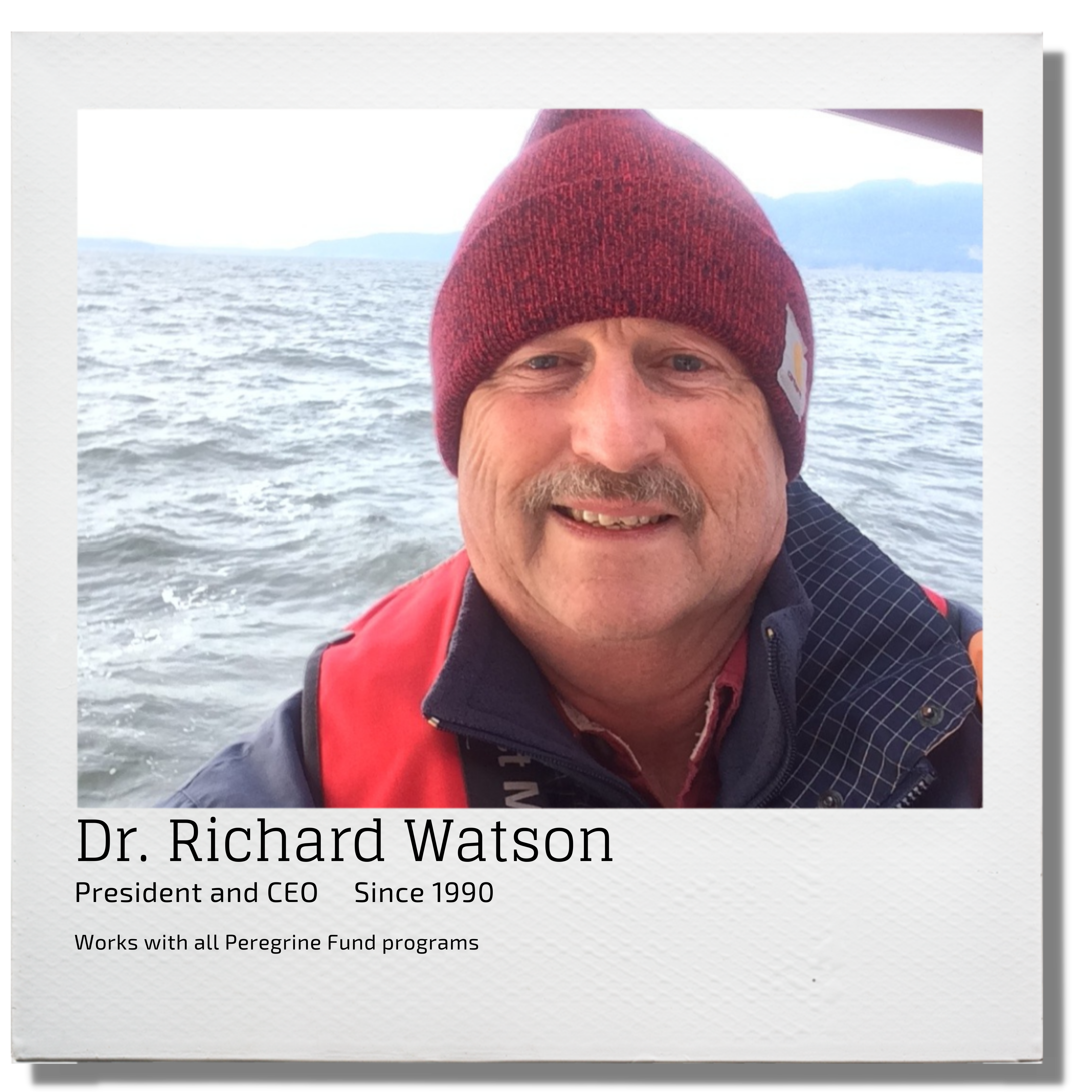 Dr Richard Watson President and CEO Since 1990 Works with all Peregrine Fund programs