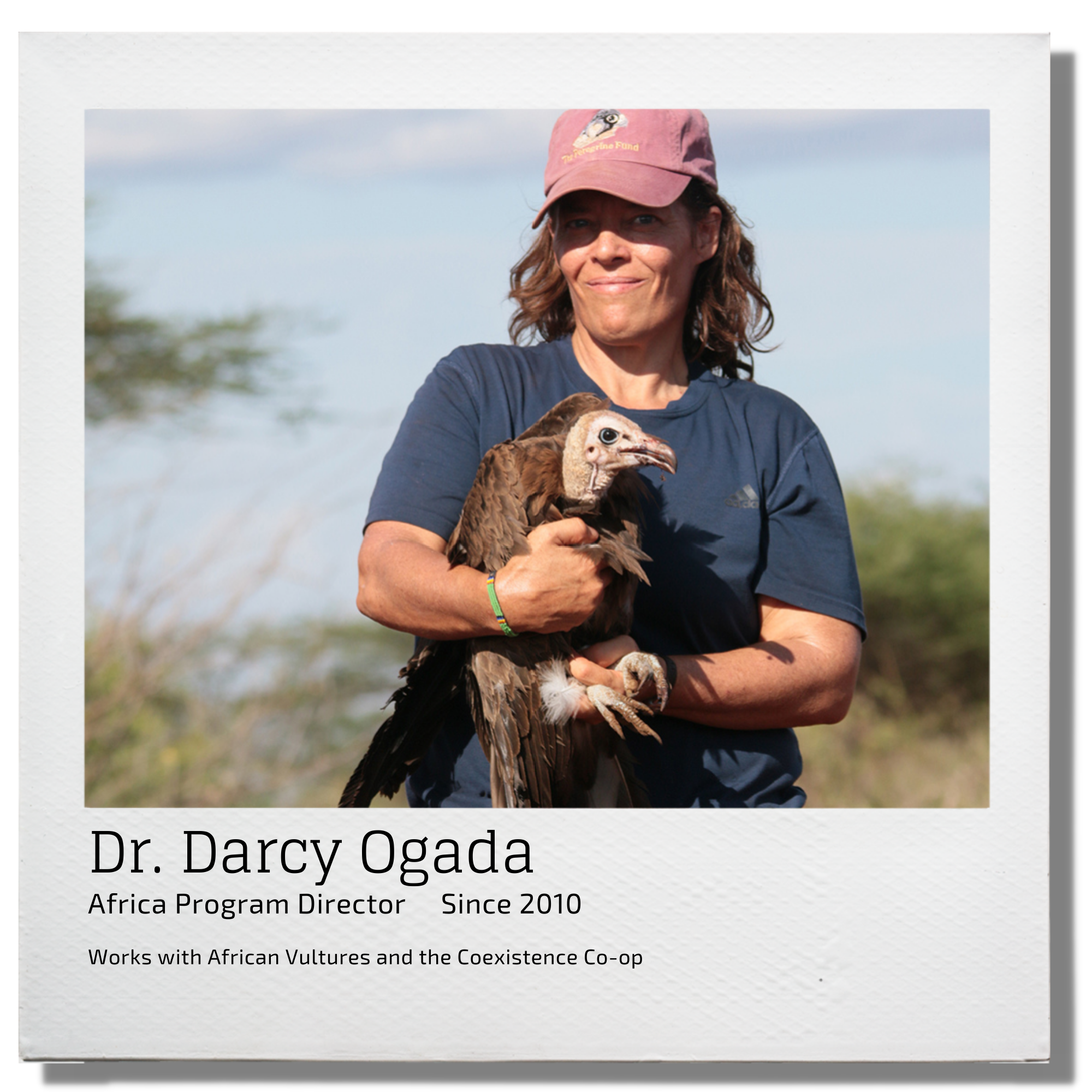 Dr. Darcy Ogada, Africa Program Director