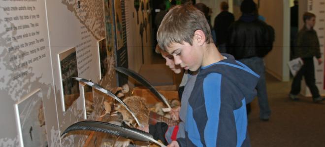 Children explore feathers at the Visitor's Center