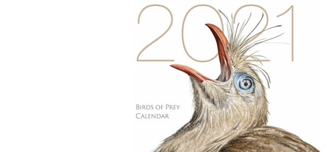 seriema painting by Ellen Wilson on cover of 2021 calendar