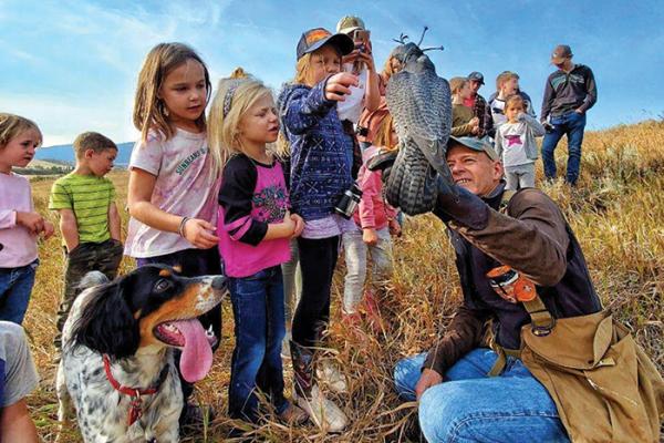 kids get close to a Peregrine Falcon on a falconer's glove