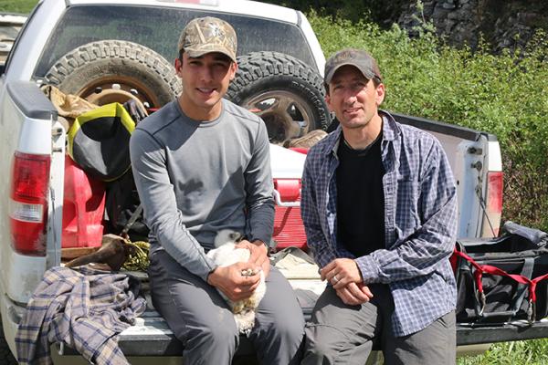A high school student and a raptor biologist in Alaska, banding a young gyrfalcon