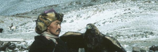 A Mongolian falconer holds a Golden Eagle on his glove.
