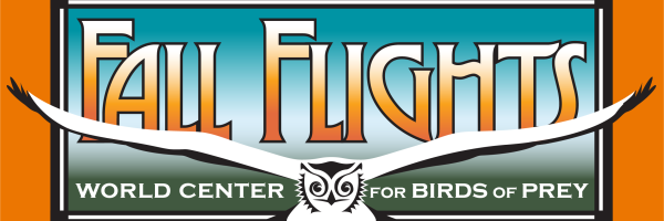 Fall Flights Logo