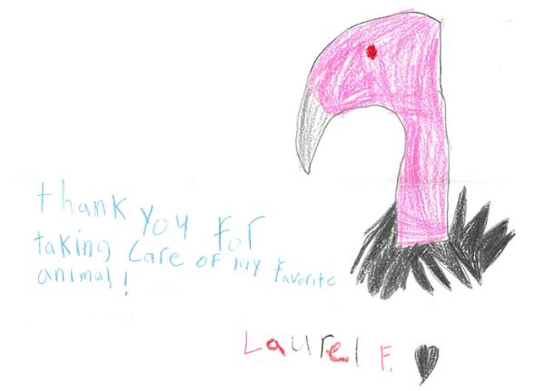 child's drawing of a California Condor