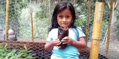 A girl holds a seedling
