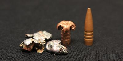 fragments of lead bullets next to intact copper bullets