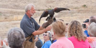 A man has a hawk perched on his glove as spectators watch.