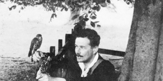 T.H. White with falconry bird